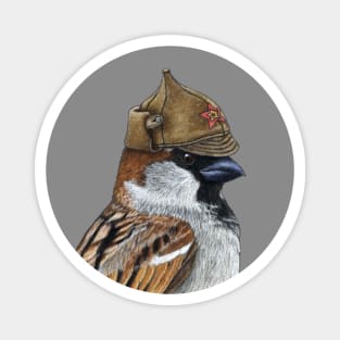 House sparrow Magnet